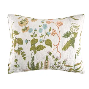 Anessa Standard Sham