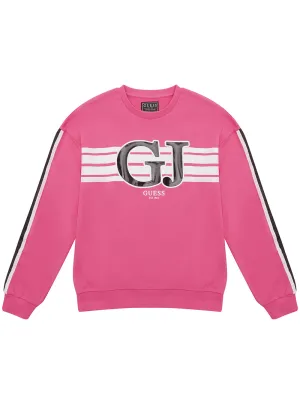 Pink Long Sleeve Active Jumper (7-16)
